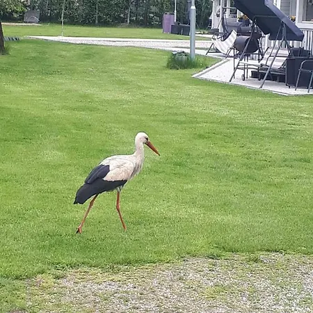 Dom wakacyjny Kalskie Impresje